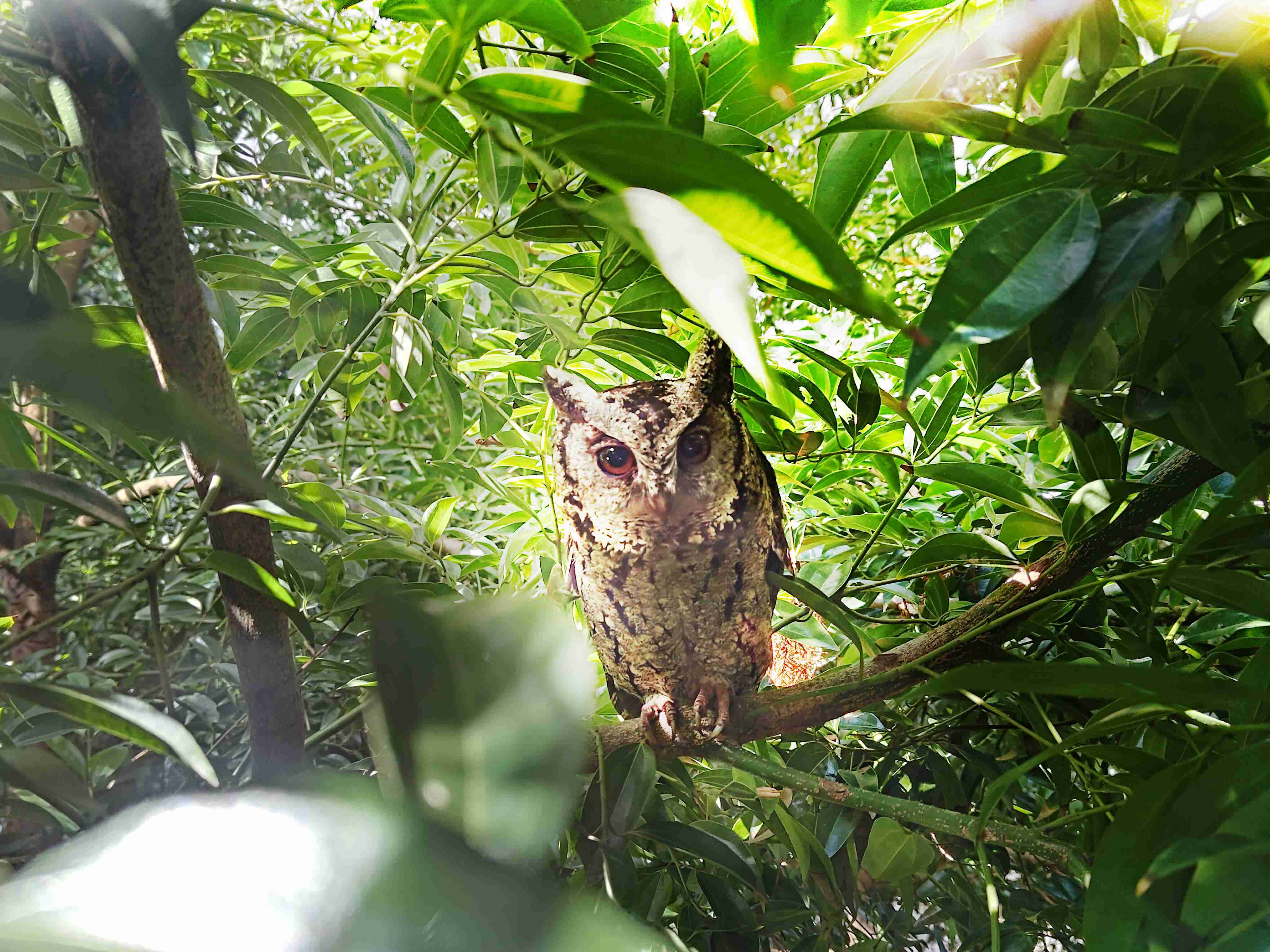 赏金国际致力提倡净零绿生活，，，，16年以来在全球各厂区植树逾百万棵，，，造就各厂区树木蔚然成林，，，犹如森林工厂，，成为许多生物的栖息地